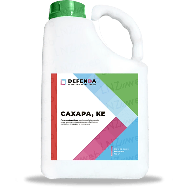 Сахара