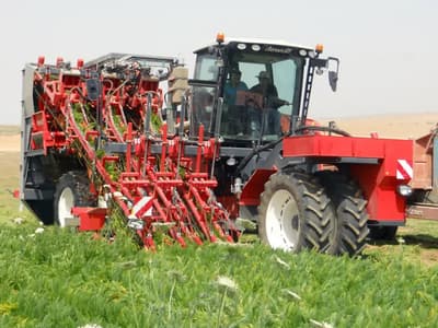 Beet harvester Dewulf ZKIIISE