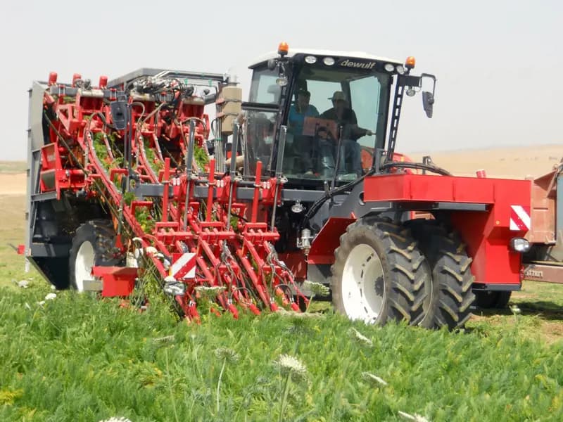 Beet harvester Dewulf ZKIIISE
