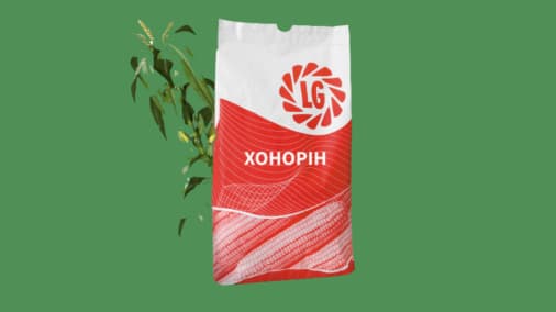 ЛГ Хонорін, кукурудза на силос (ФАО 310)
