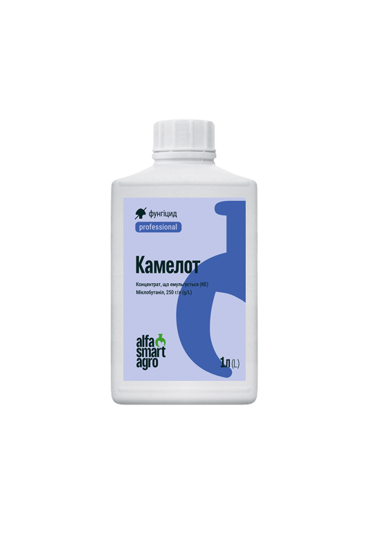 Камелот