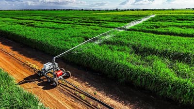 Linear move irrigator Zimmatic 9500L