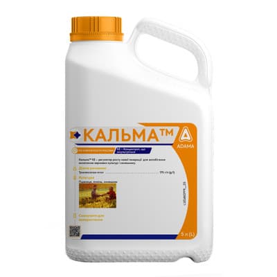 КАЛЬМА