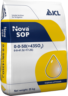 Nova SOP