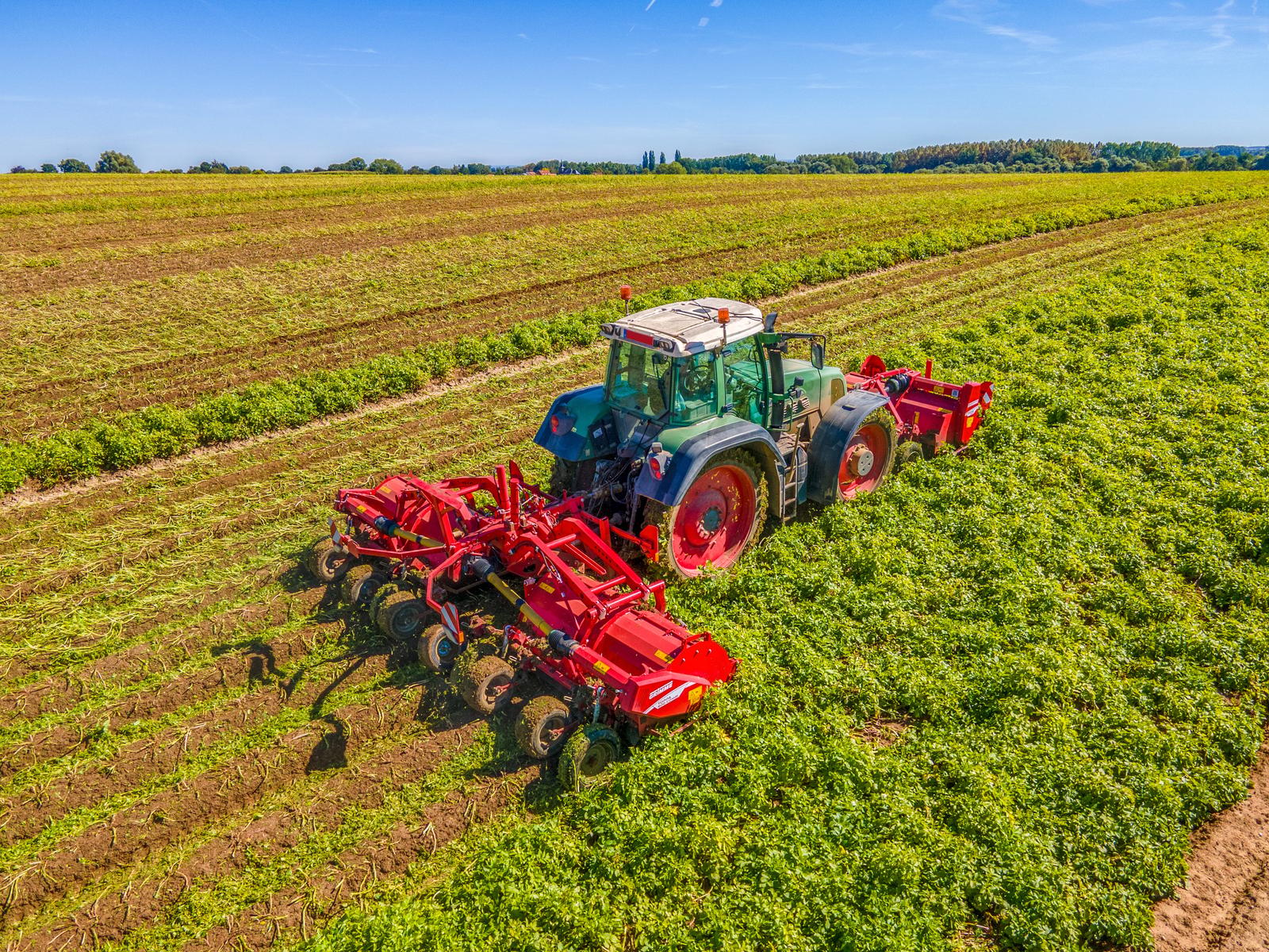 Ботвоудалитель GRIMME TOPPA 600 Combi