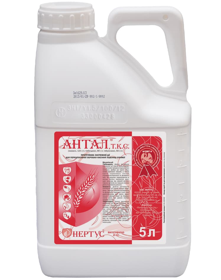 Antal