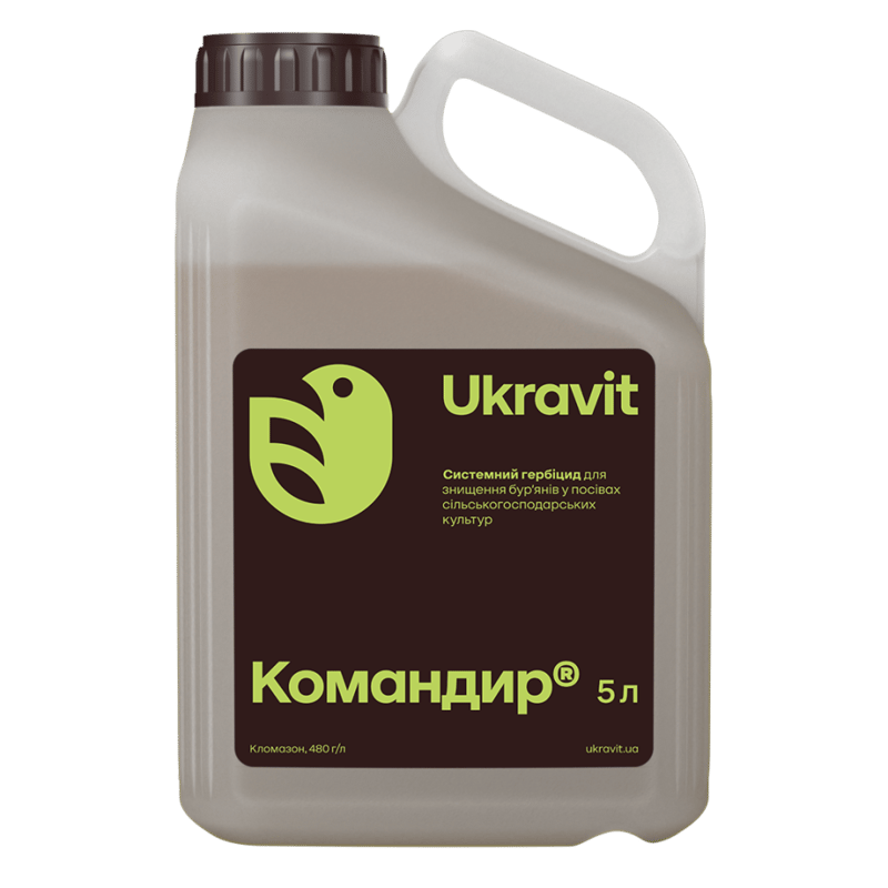 Командир