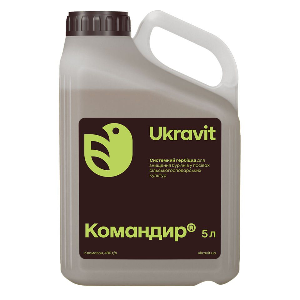 Командир