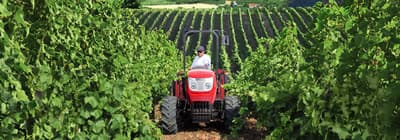 Orchard tractor McCormick F 110 F-GE