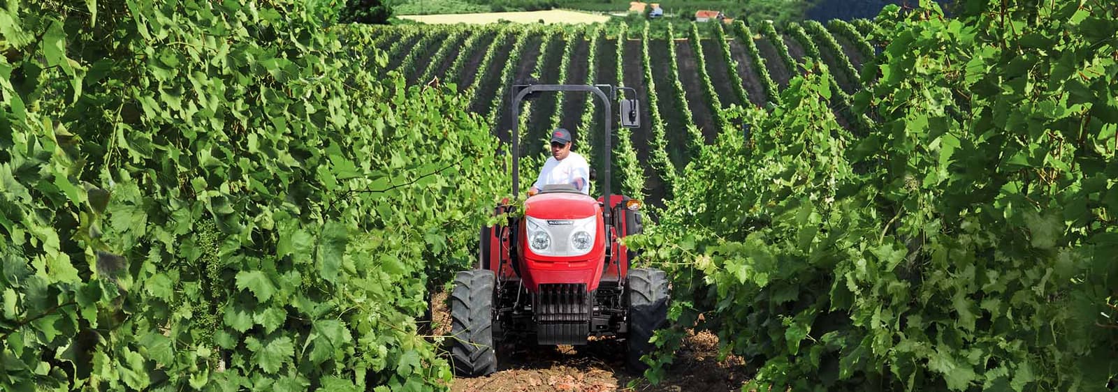 Orchard tractor McCormick F 100 F-GE