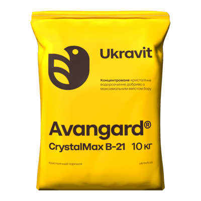 Avangard CrystalMax B-21