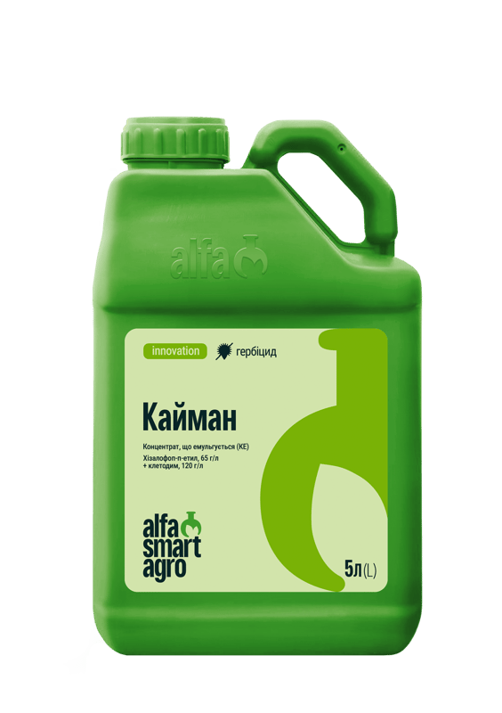 Кайман