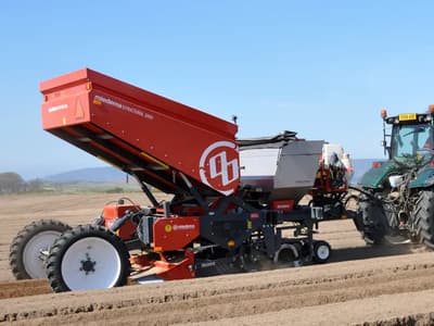 Potato planter Dewulf Structural 2000