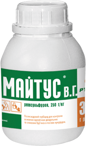 Майтус