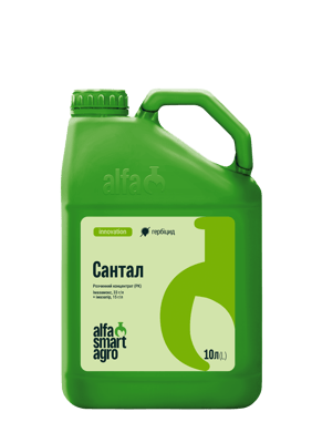 Santal