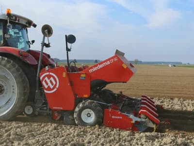 Potato planter Dewulf CP 42