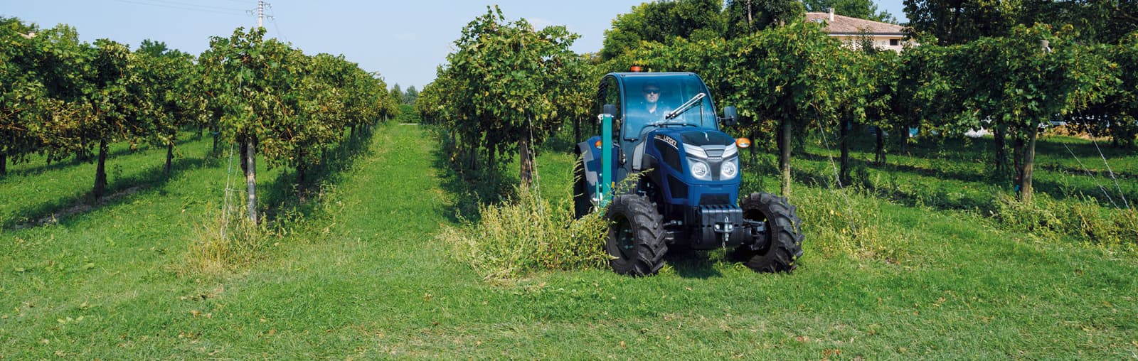 Orchard tractor Landini REX 3-070 F-GE