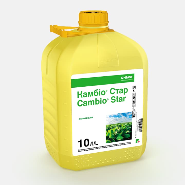 Камбіо Стар