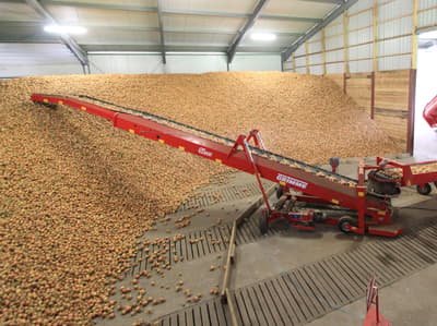 Potato conveyor GRIMME SL 125 / SL 145