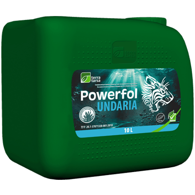 Powerfol Undaria