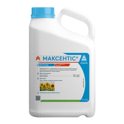 Максентіс