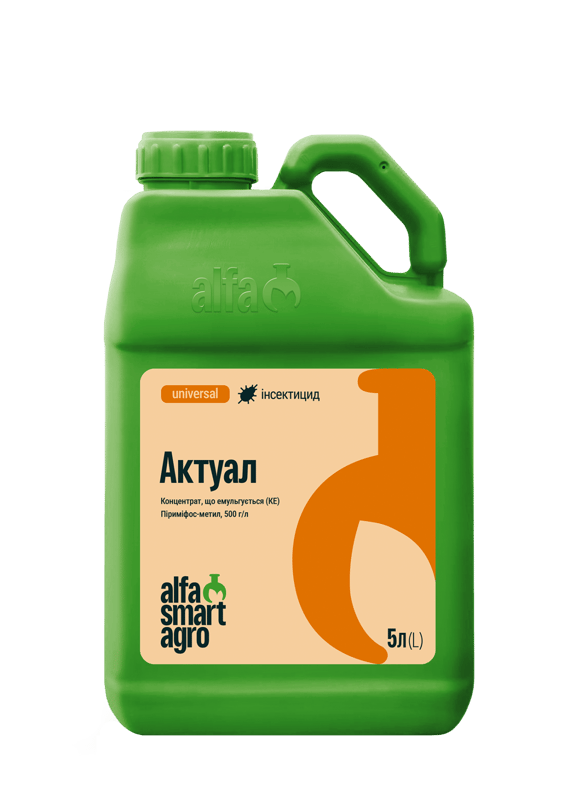 Актуал