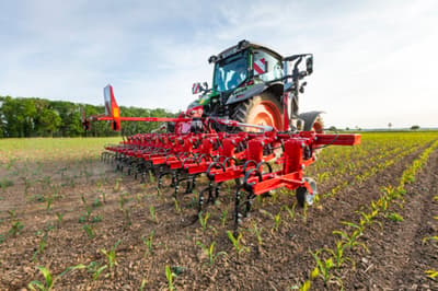 Inter-row cultivator HORSCH Transformer VF