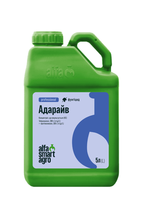 Adarayv