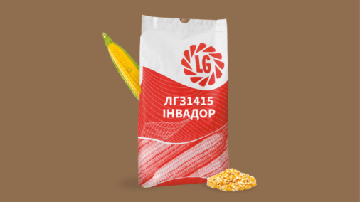 ЛГ31415 Инвадор, кукуруза на зерно