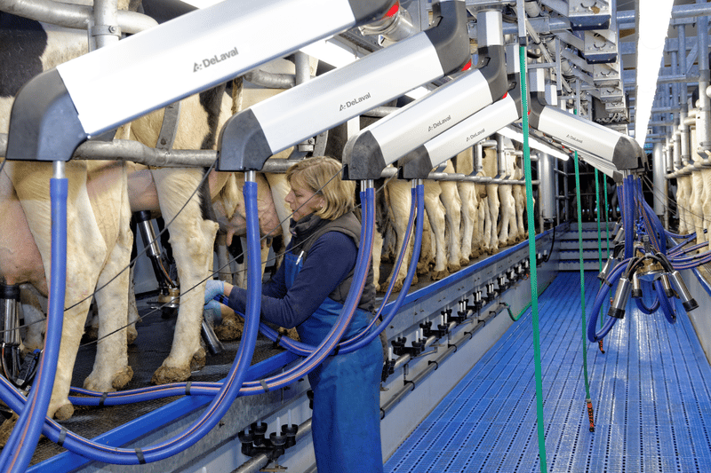 Обладнання доїльного залу DeLaval HB50 MidiLine