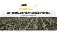 Тібарі — зображення 6