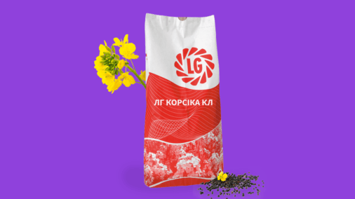 ЛГ Корсіка КЛ, озимий ріпак
