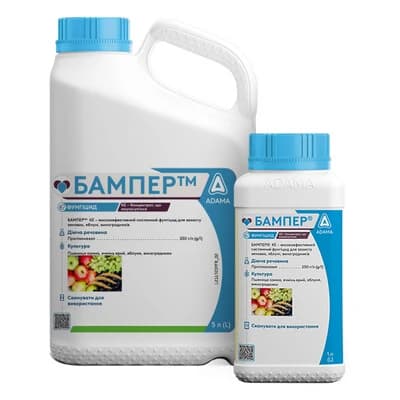 Бампер