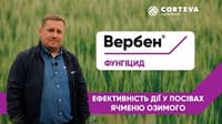 Вербен — сурет 9