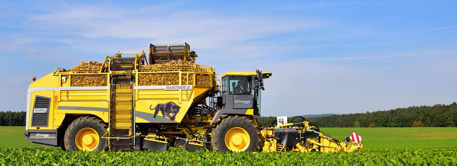 Beet harvester ROPA Panther 2