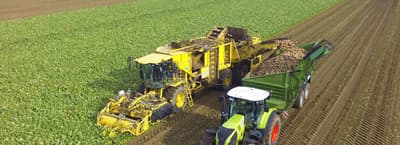 Beet harvester ROPA Tiger 5 - Waschbär