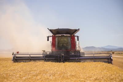 Combine harvester Case IH Axial-Flow 6160