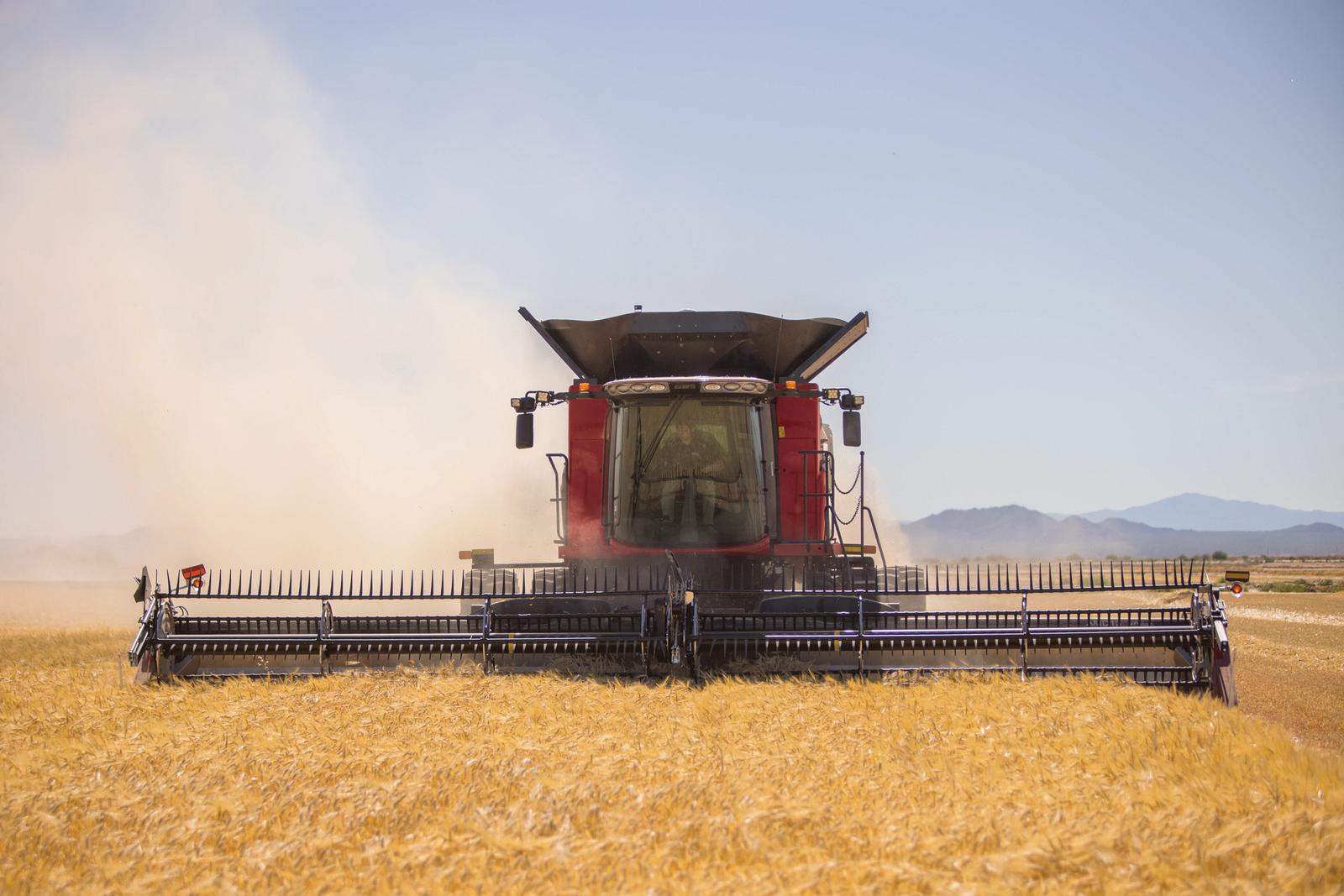 Зерноуборочный комбайн Case IH Axial-Flow 6160