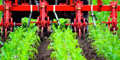 Inter-row cultivator MaterMacc UNICA F