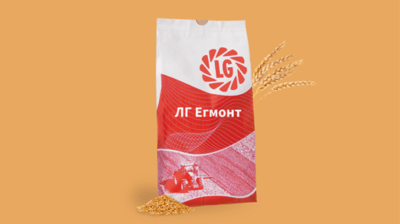 LG Egmont Winter Wheat