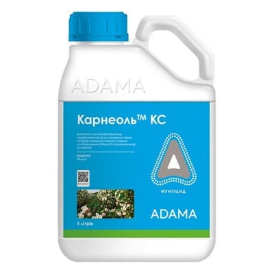 Карнеоль