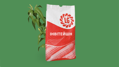 LG Invitation Silage Corn (FAO 390)