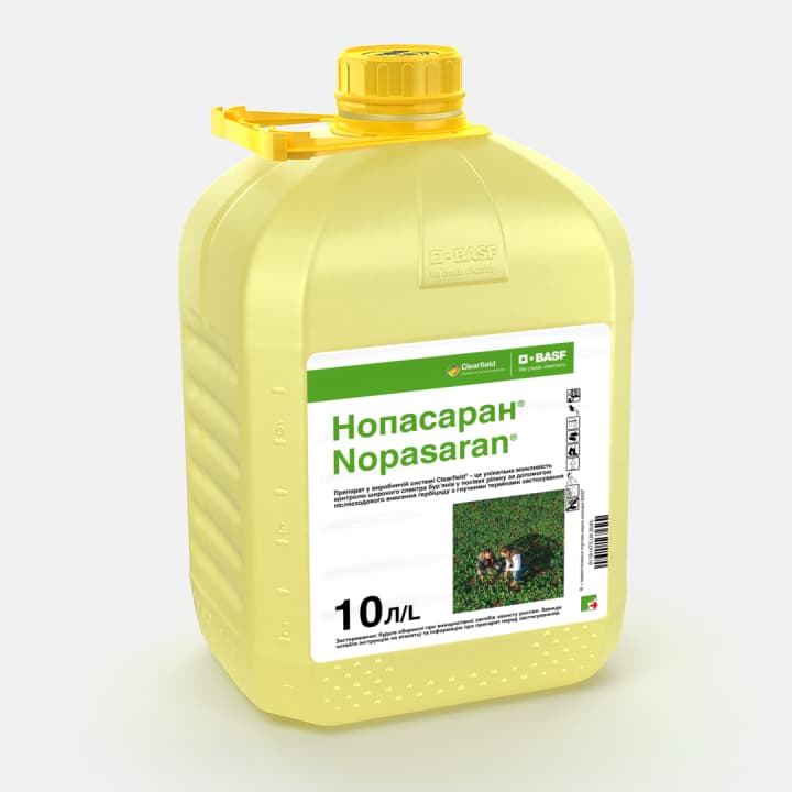 Нопасаран