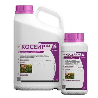 КОСЕЙР