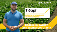 Тібарі — зображення 4