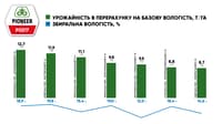 Кукурудза Pioneer P0217 AQ — зображення 3