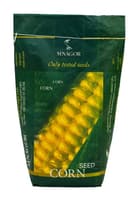 Sweet corn Daenerys F1, ultra-early — image 4