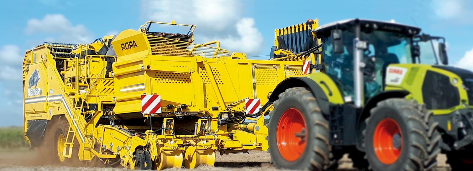 Картоплезбиральний комбайн ROPA Keiler 2 RK21