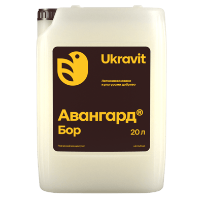 Avangard Boron