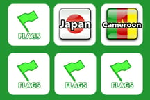 Memory with Flags Logo